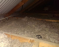 Old blow-in fluff style insulation barely up to truss mid-point - probably around R1.0 - remove this and replace with proper R3.5+ bulk insulation for far better results.